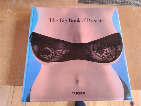 the big book of breasts dian hansen 1st