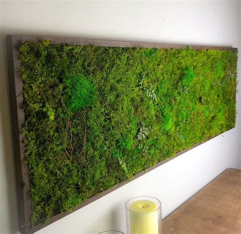 Click to share on twitter (opens in new window) click to share on facebook (opens in new window) related. Vertical Garden Wall Decor - Biophilic Wall of Moss Plants ...