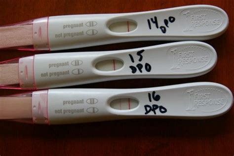 The Most Accurate Pregnancy Tests Pregnancy Test