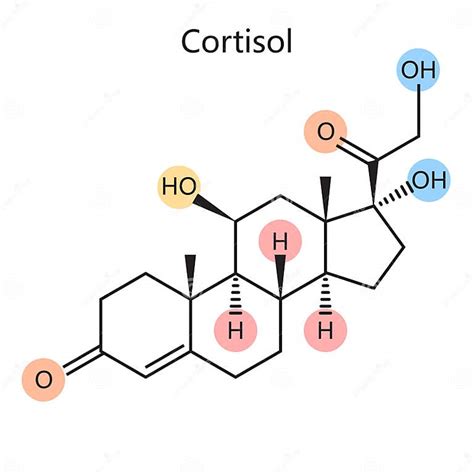 Chemical Formula Cortisol Hormone Science Stock Illustration Illustration Of Organic Medical