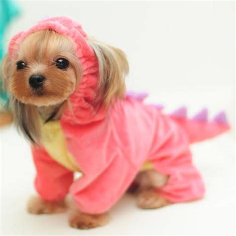 Dragon Costume Dog Halloween Costumes Cute Funny Dogs