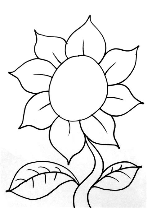 Gambar Bunga Matahari Tanpa Warna Menggambar Bunga Matahari Gambar