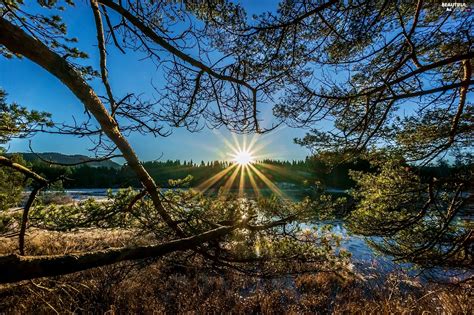 Rays Sun Trees Viewes River Beautiful Views Wallpapers 2048x1361