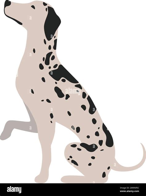 Dalmatian Illustration Hi Res Stock Photography And Images Alamy