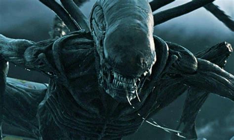 Story by dan o'bannon and ronald shusett. 'Alien' Reboot Rumored To Be In The Works At Disney