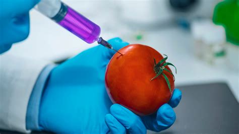 Combining genes from different organisms is known as. Genetically Modified Food - Phan Vũ Uyên Trang