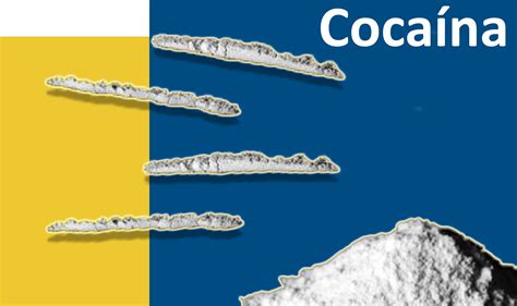 CocaÍna La Droga Que Atraviesa RÁpidamente Las Membranas Corporales