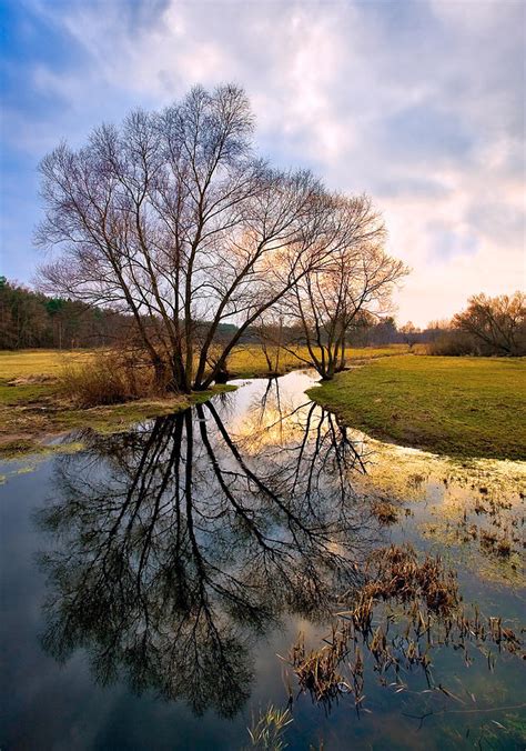 Ossow Dluga River Photograph By Tomasz Dziubinski Fine Art America
