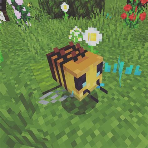 Minecraft Bee Bee Profile Picture Anime
