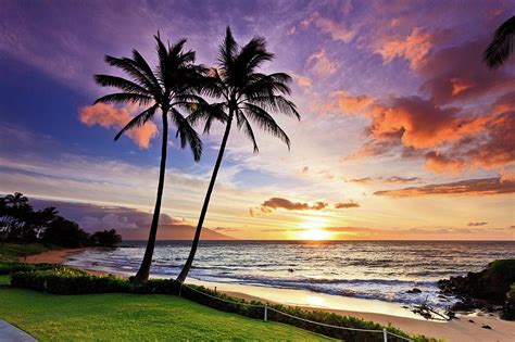 Beach Sunset With Palm Trees In Maui Hawaii Photograph By