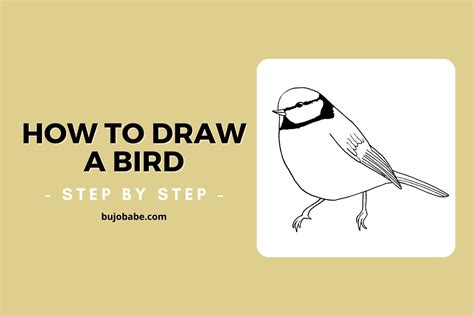 How To Draw A Bird Step By Step Best Drawing Tutorial Bujo Babe