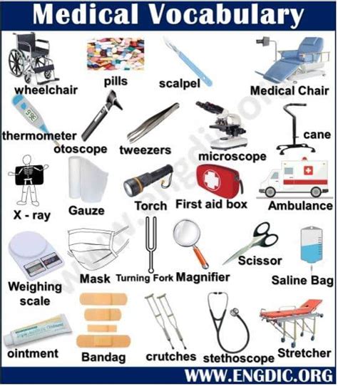 Vocabulary Word List And Definitions