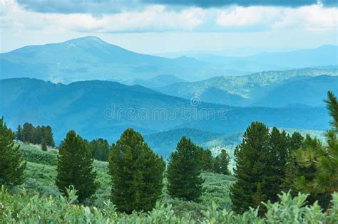Mountains Covered With Trees Under Cloudy Sky Picture Image 114510703