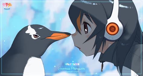 Gentoo Penguin Kemono Friends Drawn By Yoshizakimine Danbooru