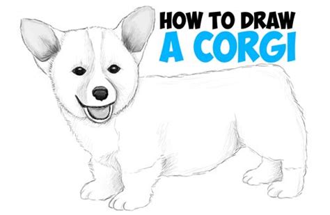 How To Draw A Corgi Puppy Easy Step By Step Realistic Drawing Tutorial