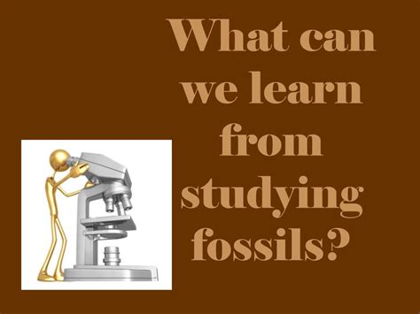 Ppt Fossils Powerpoint Presentation Free Download Id 1760728