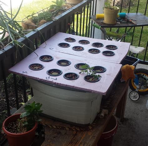 The Kratky Method For Simple Hydroponic Gardening