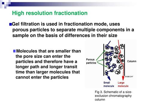 Ppt Size Exclusion Chromatography Powerpoint Presentation Free