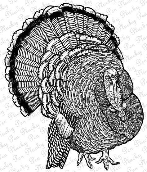 Thanksgiving Turkey Printable Art Instant Download Fall Home Etsy