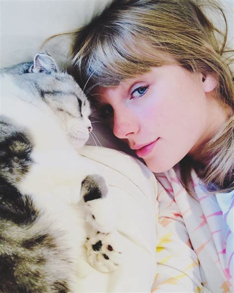 Guide To Taylor Swifts Cats — Meredith Olivia And Benjamin