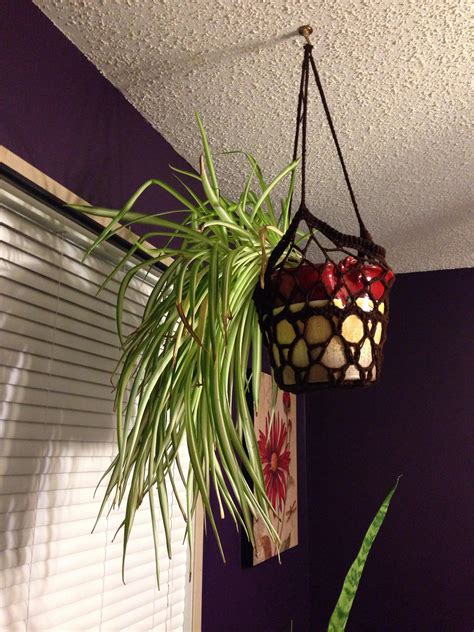 I Crocheted A Hanging Basket For My Spider Plant Rhouseplants