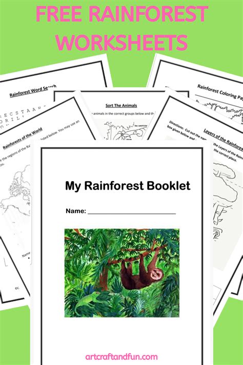 Rainforest Worksheet Kindergarten