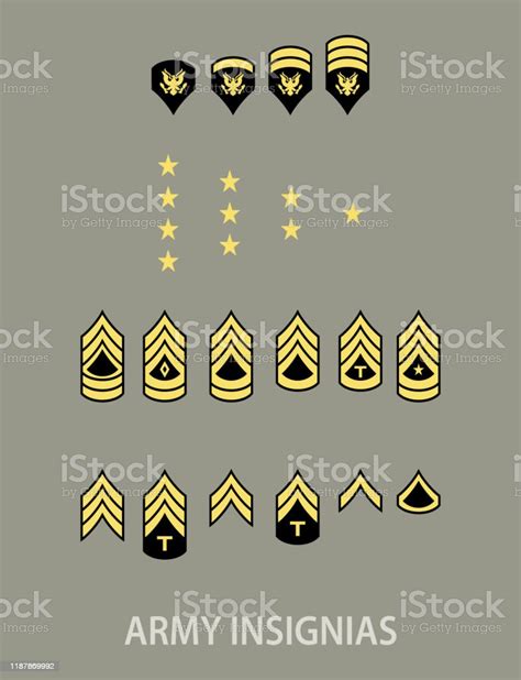 Army Military Insignia Rank Set Stock Illustration Download Image Now