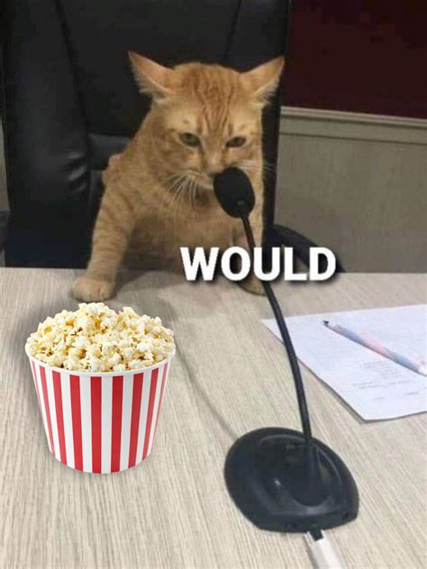 Would Popcorn Microphone Cat Would Reaction Images Know Your Meme