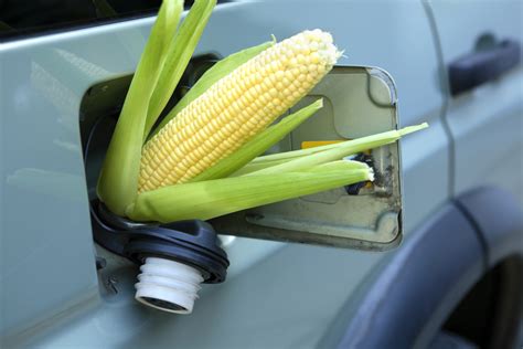 Try an ethanol treatment instead. EPA delays decision on whether to reduce ethanol in gas ...