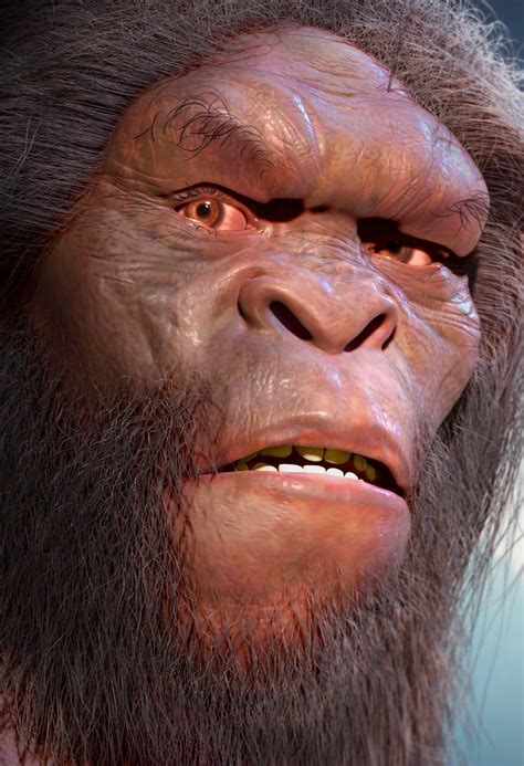 Homo Erectus Dmanisi