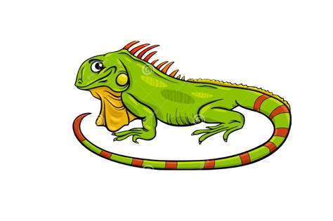 Collection of Reptiles clipart | Free download best Reptiles clipart on ...
