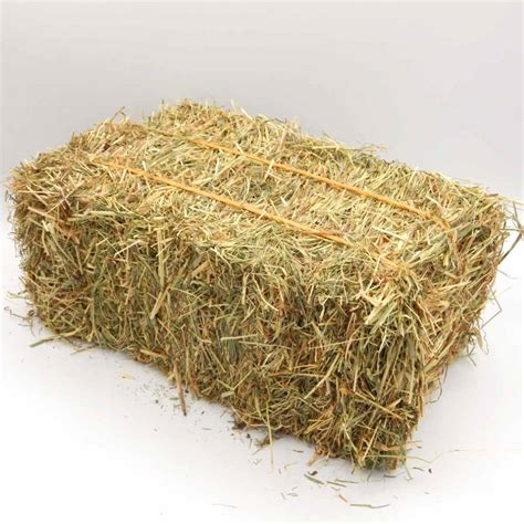 Alfalfa Hay And Alfafa Pellets Bales And Rolls In Usasouth Africa Price
