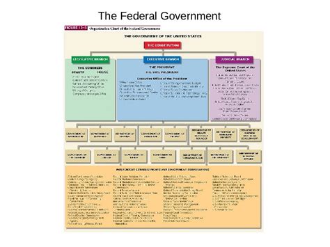 The Political System Of The United States