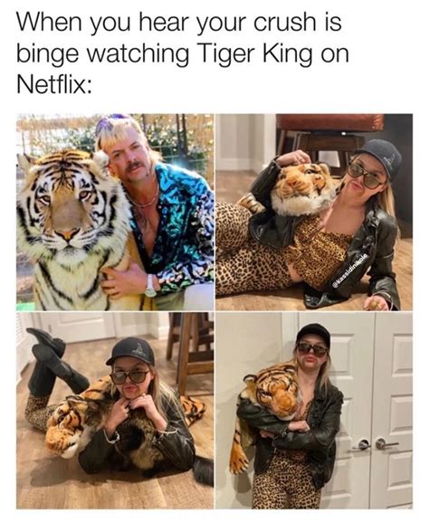 Tiger King Memes Tiger King Meme Tv Fanatic Hi My Name Is
