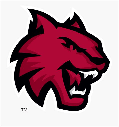 Azusa Pacific University Cougar Free Transparent Clipart Clipartkey