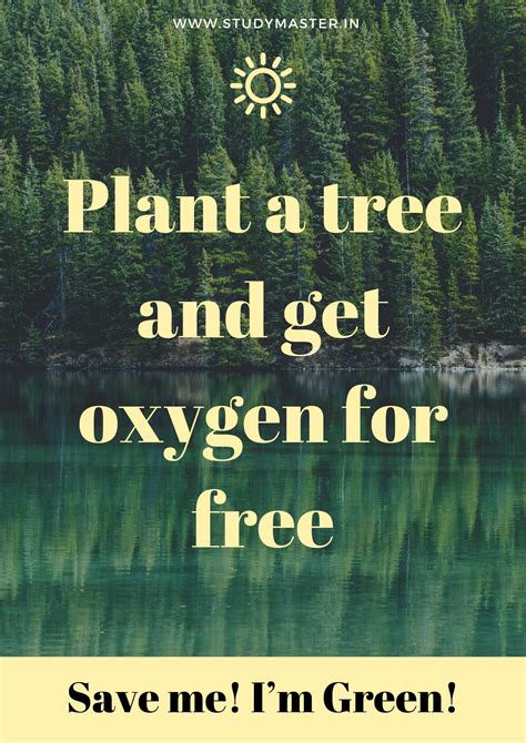 100 Great Save Trees Slogans Quotes And Posters Artofit