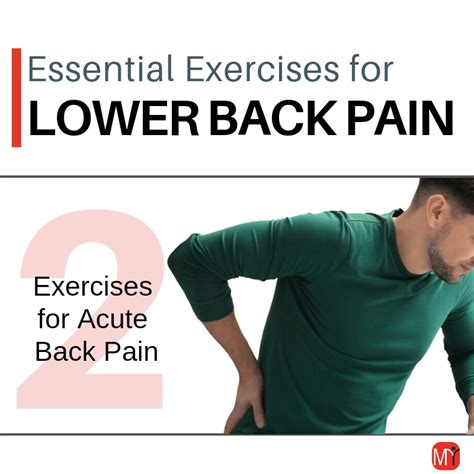 Essential Exercises For Acute Low Back Pain My Rehab Connection
