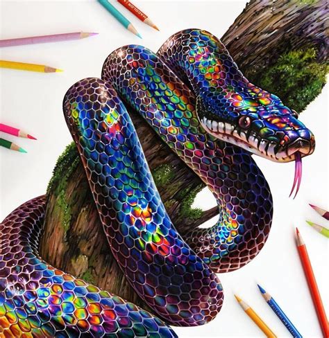 Super Colorful Animal Pencil Drawings Snake Drawing Rainbow Snake