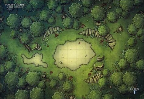 Forest Glade Caeora On Patreon Fantasy Map Forest Map Dungeons
