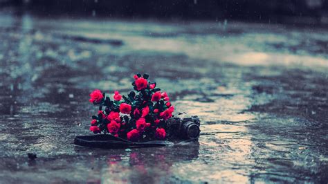 1920x1080 1920x1080 Rain Red Camera Flowers Roses Moods