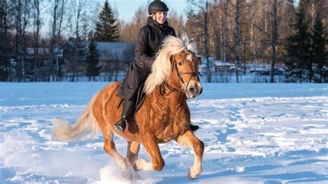 10 Tips For Horseback Riding On Cold Winter Days And In Snow