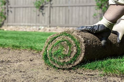 What Are Sod Prices A Breakdown Of Sod Prices Near You Bob Vila