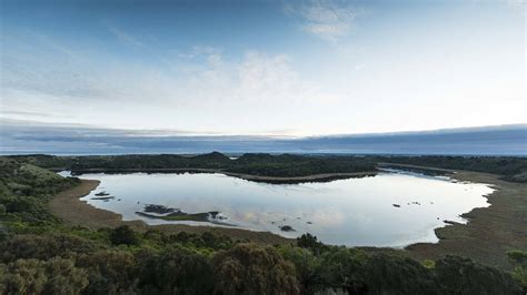 Tower Hill Wildlife Reserve Attraction Great Ocean Road Victoria Australien