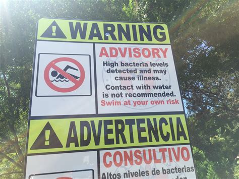 Swimmers Ignore High Bacteria Warning Signs In Bull Creek