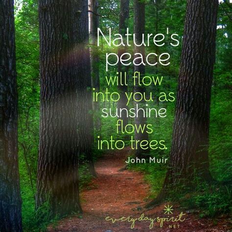 Idea By Brenda Bester On Garden Quotes Mother Nature Quotes Nature