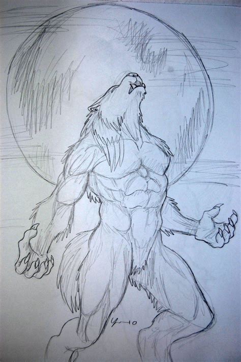 Werewolf Drawing 7 Werewolf Drawing Werewolf Art Drawings