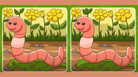 Brain Teaser Spot The Difference Game Can You Spot 5 Differences In 25