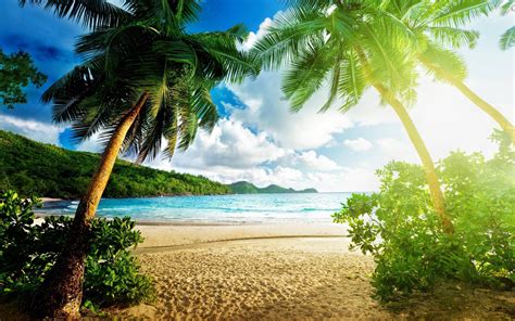 Exotic Beach Wallpapers Wallpaper Cave