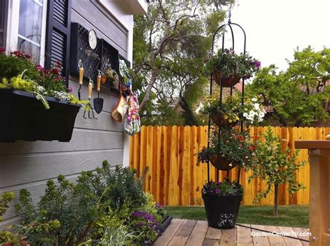 I actually think it is prettier than the variety on this list, and it comes in a variety of vibrant colors. Drought Tolerant, Heat Loving Plants "Home & Family Show ...