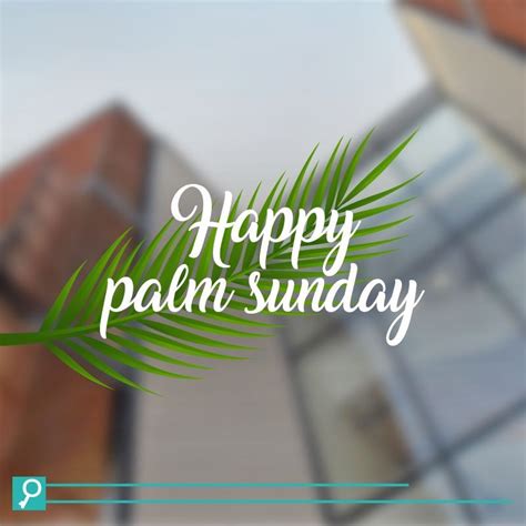 Have A Blessed Palm Sunday Homepro Happy Palm Sunday Palm Sunday